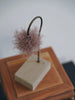 Hisayuki Nishibeppu - Handmade Botanical Lamps