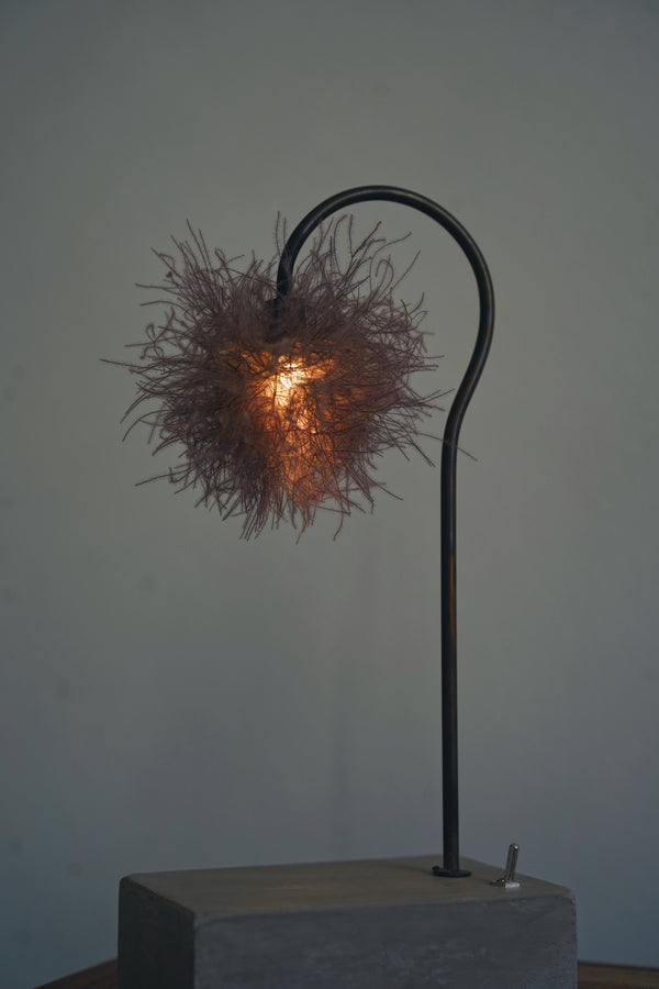 Hisayuki Nishibeppu - Handmade Botanical Lamps