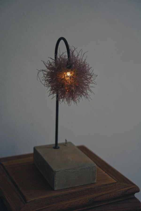 Hisayuki Nishibeppu - Handmade Botanical Lamps