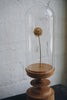 Takehito Ichikawa - Wooden Stand with Glass Dome