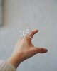 Haruna Sugie - HIFU Glass Rings