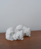 Mio Suzuki - Polar Bear Wooden Object (Curling up) (LAST ONE)